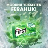 First Sensations Yeşil Nane Aromalı Sakız 27 Grx 12 Adet