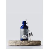 Fish Oil + Improvement 100 ml (Kedi ve Köpek Için Balık Yağı Omega 3 - Omega 6 %100 Doğal Içerik)