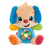 Fisher-Price bebekler için eğitici oyuncak, Eğlen ve Öğren Yaşa Göre Gelişim Köpekçik, 6 ay ve üzeri bebekler için müzikli pelüş oyuncak, JFD25