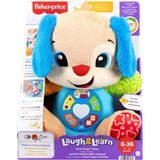 Fisher Price Eğitici Köpekçik CJV63 (2 Adet)