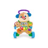FISHER PRICE Eğlen & Öğren Yaşa Göre Gelişim Eğitici Köpekçik Yürüteç (Türkçe ve İngilizce)