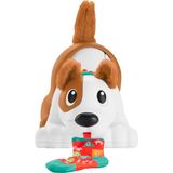 Fisher-Price Emeklemeyi Öğreten Kahverengi Köpekçik Eğitici Oyun 0-24 Ay Plastik Malzeme