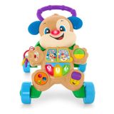 Fısher Prıce Fisher-Price® Lnl Yaşa Göre Gelişim™ Eğitici Köpekçik Yürüteç (Türkçe Ve İngilizce) | Ftg10