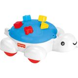 Fisher-Price Fisher Price Oyuncak Tekerlekli Kaplumbağa Bultak, Eğitici, Renkli Şekiller
