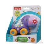 Fisher-Price Fisher Price Poppity Araçlar Hipopotam Eğlenceli Renkli Tasarım ile Duyusal Gelişim Destekleyici Oyuncak