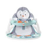 Fisher Price Fısher Prıce Tepsili Ana Kucağı