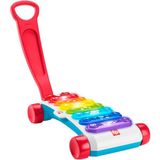 Fisher-Price HJK36 Fisher Price Işıklı Dev Ksilofon - Standart