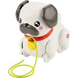 Fisher Price HTW94 Sesli Minik Dostumla Yürüyüş