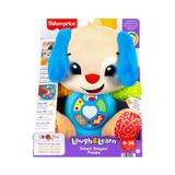 Fisher Price JFD25 Eğitici Köpekçik