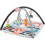 Fisher Price Neşeli Hayvanlar 3'Ü 1 Arada Jimnastik Merkezi