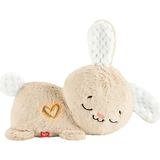 Fisher-Price Uyku Arkadaşım Tavşancık (4 Adet)
