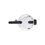 Fissler Vitaquick Glossy 10 lt Düdüklü Tencere