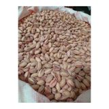 FISTIKÇINIZ 1 kg siirt fıstıgı yeni mahsül yüzde yüz ana çatlak brüt kutu da