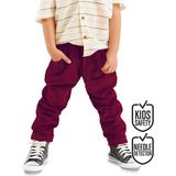 Fitilli Kadife Bordo Erkek Çocuk Pantolon - 4 Yaş