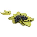 Fito Derman 400 gr Defne Tohumu