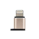FitPlus Micro to Lightning Çevirici Gold Adaptör