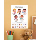 Five Senses-5 Duyu Ingilizce Çocuk Eğitim Tekli Pvc Poster 30X42 cm