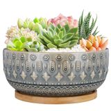 Fivepot Drenaj Delikli 8 İnç Seramik Etli Saksılar İç Mekan Bitkileri için Saksı Bambu Tepsi ile Yuvarlak Sığ Bonsai Saksısı Mavi