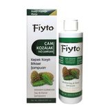 Fiyto Çam Kozalaklı 250 ml Şampuan