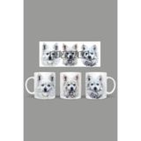 Fizello American Eskimo Dog Kupa, Beyaz, 330 ml FIZELLO-MUG-103-american-eskimo-dog