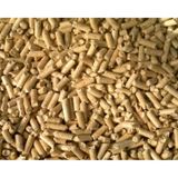 Fizzy Çam Peleti Kedi Kumu 10 KG