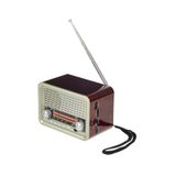 FLAGEN Mini Taşınabilir Bluetooth Hoparlör Radyo USB ve TF Kart Girişli Şarjlı Müzik Ses Sistemi