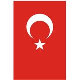 Flama Bayrak Türk Bayrağı - 50 x 75 cm
