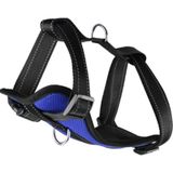 Flamingo 50-65 cm Mavi Milou Köpek Göğüs Tasması