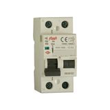 Flash 2X40A 30MA Kaçak Akım Rölesi 1ADET - 40 A