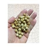Flea Market (100 Adet) - 10 Mm Vernikli Ahşap Boncuk