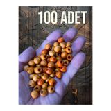 Flea Market 100 Adet Ahşap Boncuk 10 Mm Ah74825 Turuncu