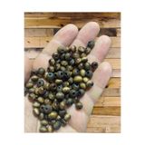 Flea Market Ahşap Boncuk 6 Mm 80 Gr - Kahve