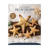 Flea Market Gerçek Ithal Dev Deniz Yıldızı - ( Kolleksiyonluk , Dekor , Biblo , Kuru Akvaryum )