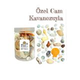 Flea Market Özenle Seçilmiş Karışık Cam Kutuda Orta Boy Deniz Kabukları - (100Gr.)