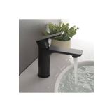 Fleko 202 Siyah Lavabo Musluk