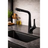 FLEKO MİRANDA BLACK ARITMALI MUTFAK BATARYASI