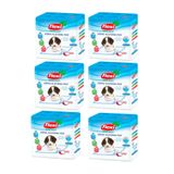 Flexi Köpek Alıştırma Çiş Pedi - 60x60cm 10lu Paket - 6 Adet