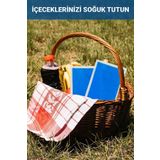 Flexy Medical Termojel, Ilaç, Insülin, Taşıma Yiyecek, Içece Koruma Şişlik Morluk Ağrı (3 ADET 13CMX26CM) Jel Buz