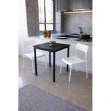 Flinder 2Li Mutfak Seti Mutfak Masa Ve Sandalye Seti Balkon Masası Cafe Seti Ss-Sanbb-2