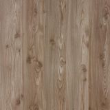 Floorpan Gold Çam Laminat Parke
