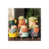 FLORADA YENİ KORE TARZI 6'LI RETRO SUKULENT VE KAKTÜS SAKSI SETİ