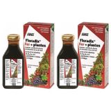 Floradix 2x250 ml Sıvı