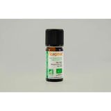 Florame Çay Ağacı 10 ml Yağ