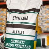 Floramut Ithal Bol Emiliana Yonca Tohumu-25 kg