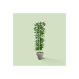 florayapaycicekcom Beyaz Saksılı Yapay Bambu Ağacı 100 cm