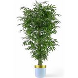 florayapaycicekcom Tek gövdeli bambu ağaç yapay ıslak doku beyaz gold saksı svm.1307