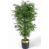 florayapaycicekcom Tek gövdeli bambu ağaç yapay ıslak doku siyah gold saksı svm.1306