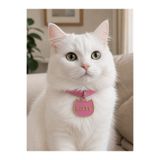 florealFlowers işiye Özel Kedi ve Köpek Künyesi AÇIK PEMBE * isim *çift taraf baskı * telefon numarası