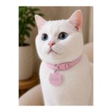 florealFlowers Kişiye Özel Kedi ve Köpek Künyesi AÇIK PEMBE * isim *çift taraf baskı * telefon numarası