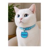 florealFlowers Kişiye Özel Kedi ve Köpek Künyesi * isim *çift taraf baskı * telefon numarası